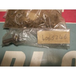 Raccordo pompa acqua Fiat 600 n.4065246-978834