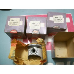 Serie Pistoni Fiat 128 normali cc1100