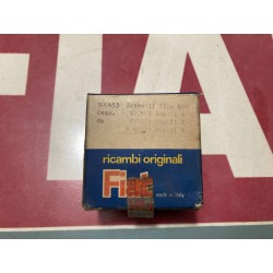 Serie fasce elastiche Fiat 600 Magg +0,8