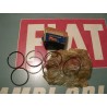 Serie fasce elastiche Fiat 500N mm66+0,6