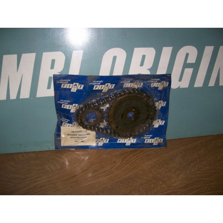 Gruppo distibuzione 1901081